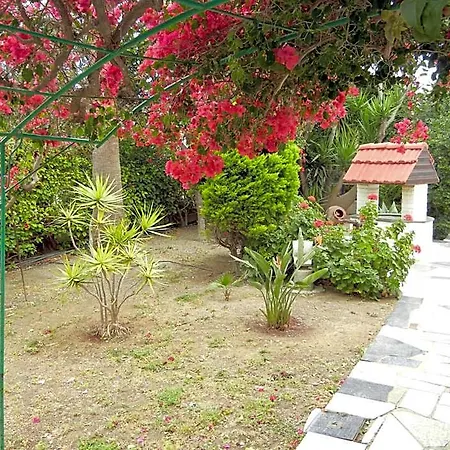 Tsialis Larnaca
