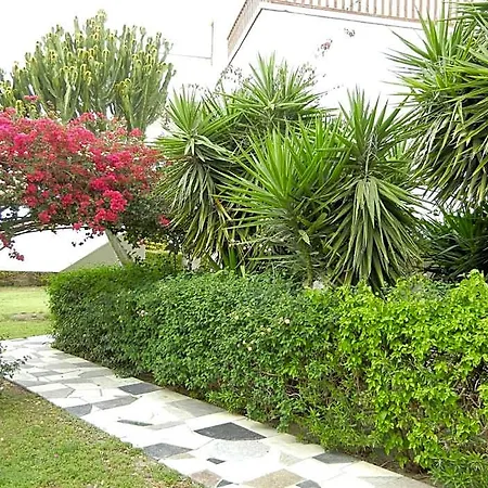 Tsialis Hotell Larnaca